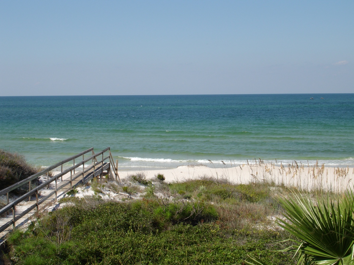 How To Make Your Gulf Coast Spring Break Fierce  Gulf 